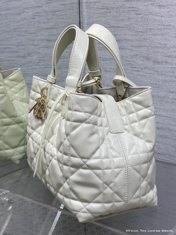 Tony Luxuries MEDIUM TOUJOURS BAG diro 0808
